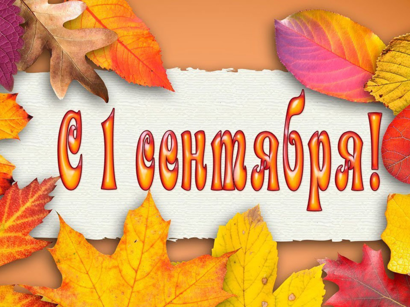 №1 сентябрь 2023.