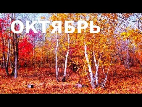 Октябрь - №2 2024.