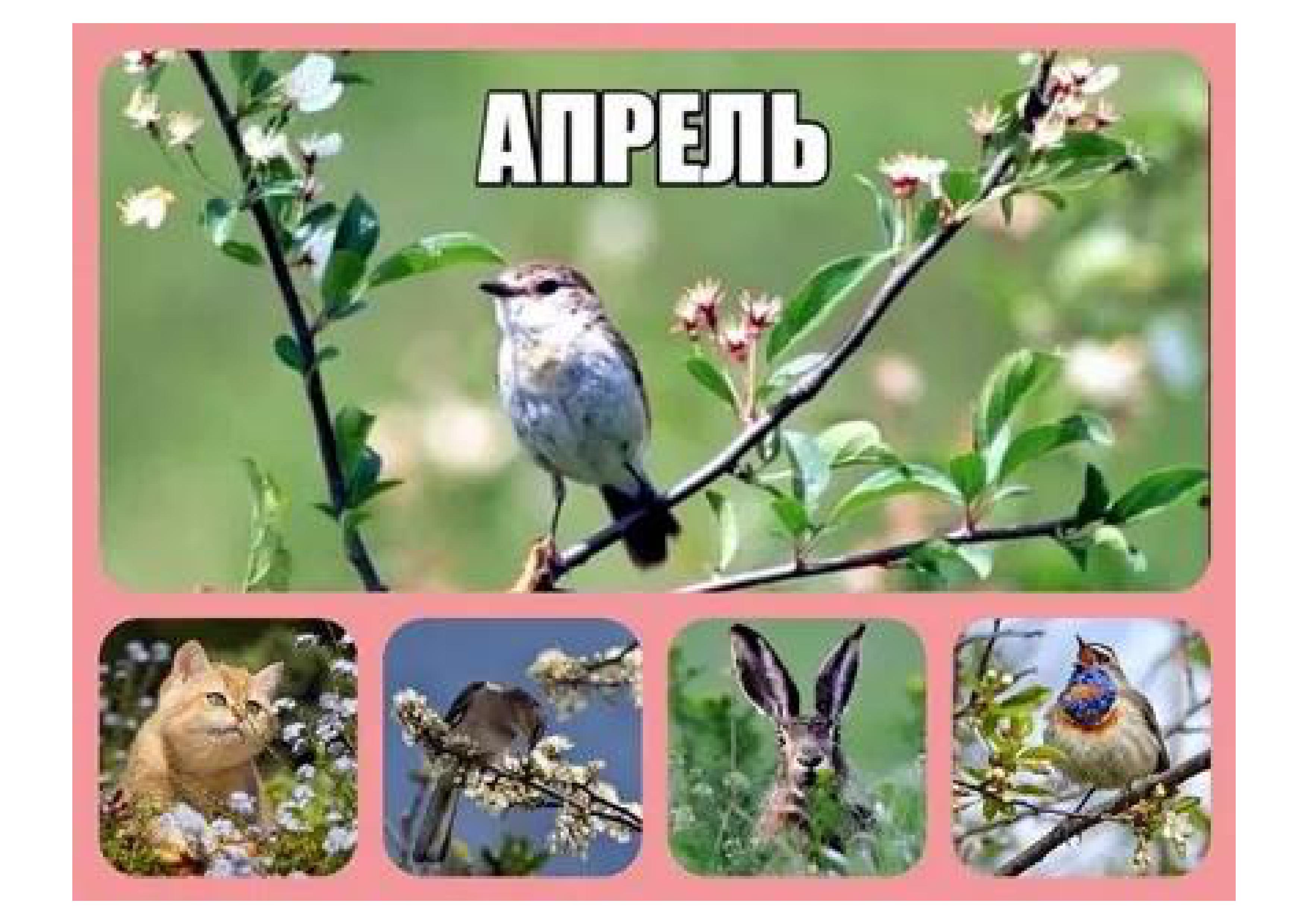 №8 Апрель-2025.